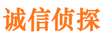 赵县市调查公司